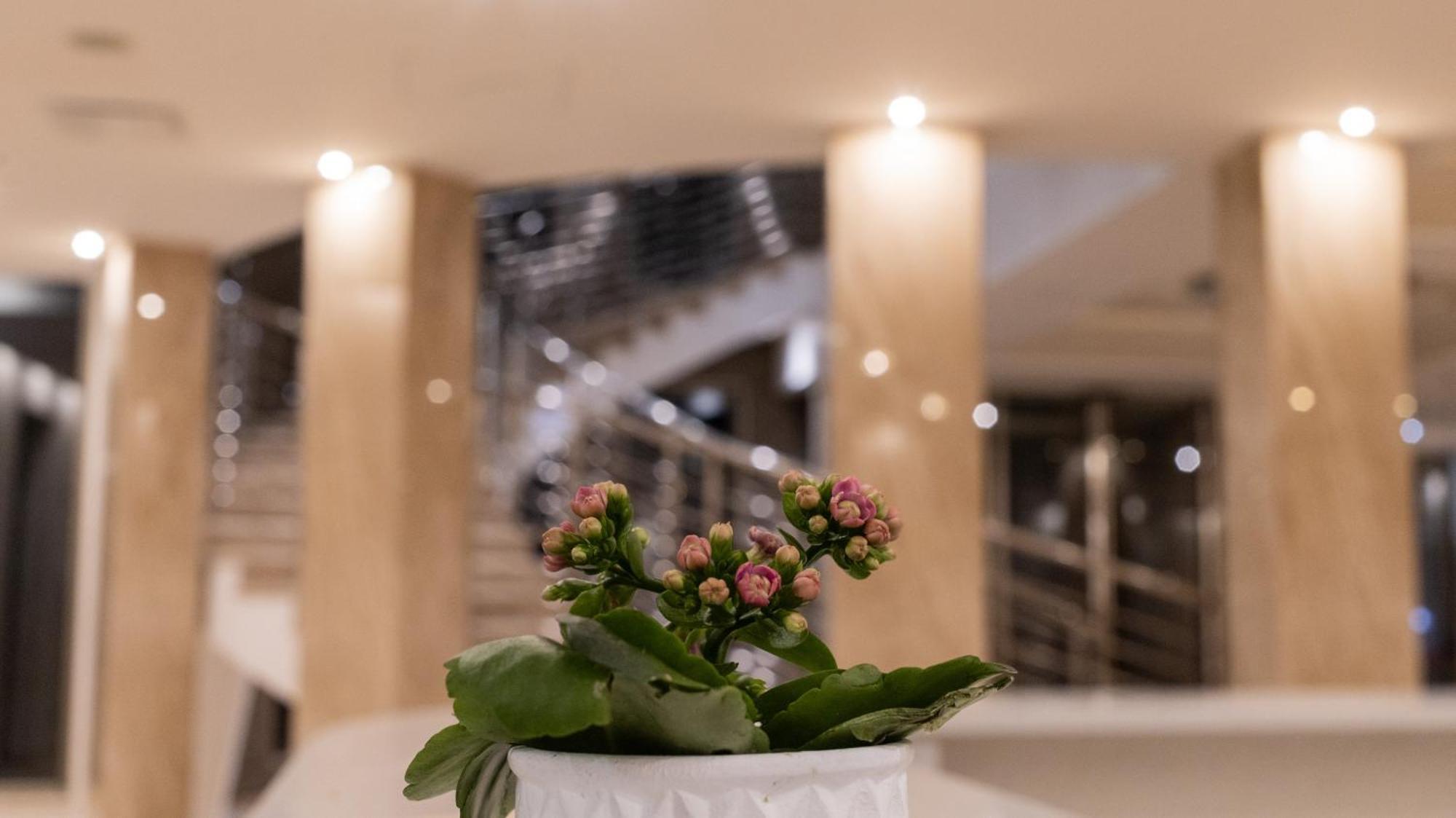 Hotel Donna Crescenza Locorotondo Zewnętrze zdjęcie