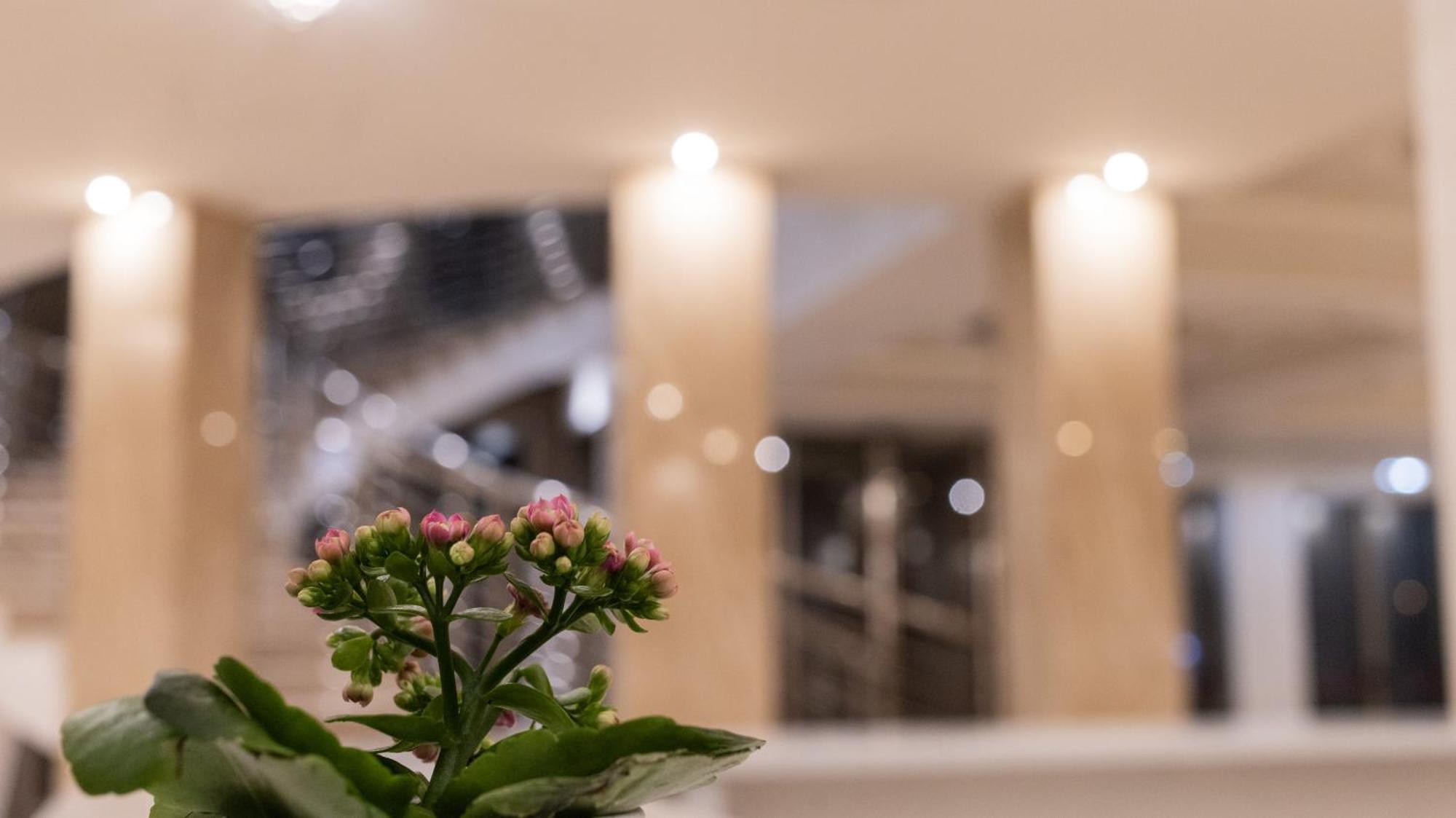 Hotel Donna Crescenza Locorotondo Zewnętrze zdjęcie